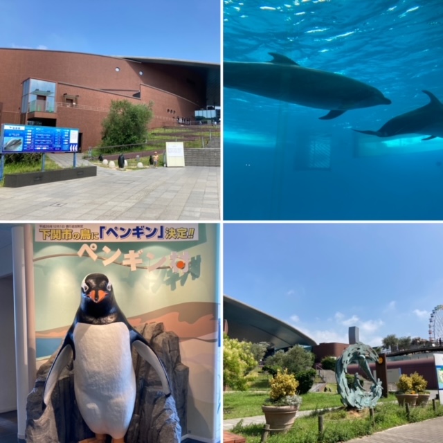 北九州に添乗でした。夏休みにいかがですか？